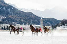 White Turf Pferderennen 2013, St. Moritz, Oberengadin, Kanton Graubünden, Schweiz