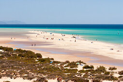 Menschen auf Sandstrand, Playa de Sotavento, Sotavento, Costa Calma, Jandia, Morro Jable, Fuerteventura, Kanarische Inseln, Spanien, Europa