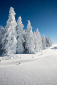 Snow covered trees and landscape, Schauinsland, near Freiburg im Breisgau, Black Forest, Baden-Wuerttemberg, Germany