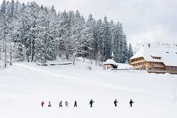 Snow shoe hikers, Hinterzarten, Black Forest, Baden-Wuerttemberg, Germany