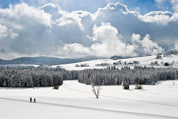 Cross-country skier near Breitnau, near Hinterzarten, Black Forest, Baden-Wuerttemberg, Germany