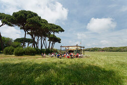 Bar in Strandnähe mit Pinien, Golfo di Baratti, bei Populonia, Provinz Livorno, Toskana, Italien, Europa