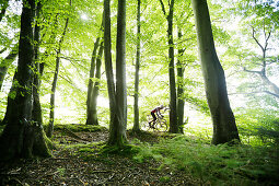 Man cyclocross touring in autumn, Oberambach, Munsing, Bavaria, Germany