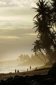 Strand von Unawatuna, Galle Distrikt, Südprovinz, Sri Lanka