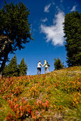 Hikers in autumn, Planai, Schladming, Styria, Austria