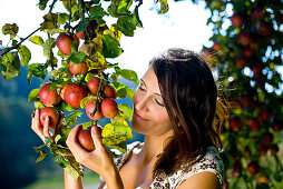 Junge Frau unter einem Apfelbaum, Steiermark, Österreich