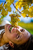 Woman eating wine grapes, Styria, Austria