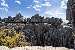 Tsingy-de-Bemaraha National Park, Mahajanga, Madagascar, Africa