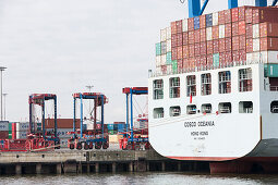 Das Containerschiff Cosco Oceania wird Be- und Entladen am Container Terminal Tollerort, Hamburg, Deutschland