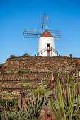 Jardin de Cactus, Guatiza, Lanzarote, Kanarische Inseln Spanien