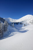 View to snow-covered Herzogstand, Herzogstand, Bavarian Alps, Upper Bavaria, Bavaria, Germany
