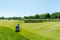 Golfer putting on the green,Schleswig-Holstein,Germany