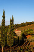 Albola, Radda in Chianti, Toskana, Italien