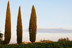 Cypresses and some of the towers of San Gimignano, Tuscany, Italy