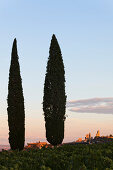 Zypressen und Geschlechtertürme von San Gimignano, Toskana, Italien