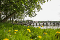 View over lake Feldberger Haussee to Feldberg, Feldberger Seenlandschaft, Mecklenburg-Western Pomerania, Germany