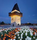 Grazer clock tower in the evening, Schlossberg, Graz, Styria, Austria