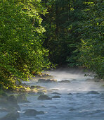 Fluss Steyr, Hintertambergau, Oberösterreich, Österreich