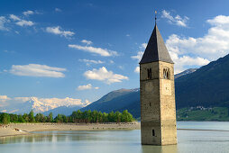 Bell tower in lake Reschensee, Ortler in the background, Reschen, lake Reschensee, Reschen Pass, Vinschgau, South Tyrol, Italy