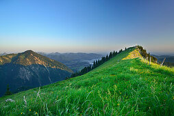 Wiese am Gipfel der Bodenschneid, Tegernsee im Hintergrund, Bodenschneid, Spitzing, Bayerische Alpen, Oberbayern, Bayern, Deutschland