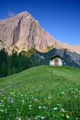 Chapel in flowering meadow beneath Grosser Lafatscher, Halleranger, Karwendel range, Tyrol, Austria
