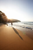 Man walking along Dam Trau beach in the evening, Con Dao Island, Con Dao National Park, Ba Ria-Vung Tau Province, Vietnam