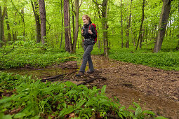 Young woman hiking through a beech forest, National Park Hainich, Thuringia, Germany