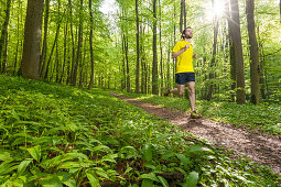 Young man jogging in a beech forest, National Park Hainich, Thuringia, Germany