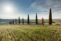 Young woman jogging along a path with cypresses, Tuscany, Italy