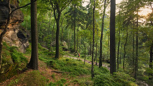 Junge Frau wandert im Wald, Nationalpark Sächsische Schweiz, Sachsen, Deutschland