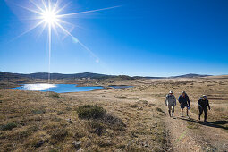 Drei Wanderer, Pretty Valley Pondage, Alpine National Park, Australian Alps, Victoria, Australien