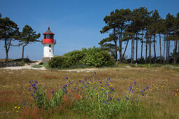 Lighthouse at Gellen, towards the south of the island, Hiddensee island, National Park Vorpommersche Boddenlandschaft, Baltic Sea, Mecklenburg Western-Pomerania, Germany