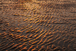 Wellenstruktur im Sand, am Kniepsand, Insel Amrum, Nordsee, Nordfriesland, Schleswig-Holstein, Deutschland