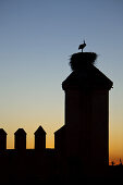 Storks on the ramparts of the Royal Palace, Marrakech, Morocco