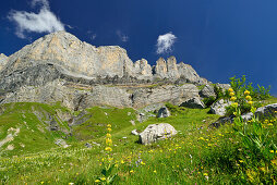 Blick über Blumenwiese auf Pointes d Ayeres Sud und Pointes d Ayeres Nord, Naturpark Passy, Departement Haute-Savoie, Rhone-Alpes, Frankreich