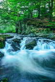 River Selke Fall, Selke Valley, Harz Mountains, Saxony-Anhalt, Germany