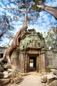 Angkor Temples complex - ruins of Ta Prohm Temple, Angkor old Khmer Empire, Cambodia, Asia