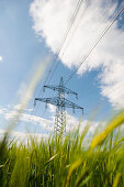 Cornfield with electricity pylon, Gleisdorf, Styria, Austria