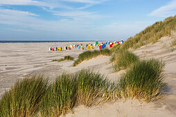 Beach chairs at the beach, Juist Island, North Sea, East Frisian Islands, East Frisia, Lower Saxony, Germany, Europe