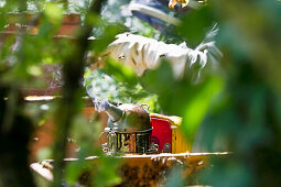 Imker mit Smoker an Bienenkisten, Freiburg im Breisgau, Schwarzwald, Baden-Württemberg, Deutschland