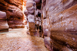 Arnon river passing a gorge, Wadi Mujib, Jordan, Middle East