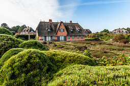 Reetdachhaus, Kampen, Sylt, Schleswig-Holstein, Deutschland