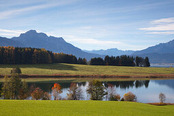 Blick über den Forggensee auf den Säuling, Allgäu, Bayern, Deutschland