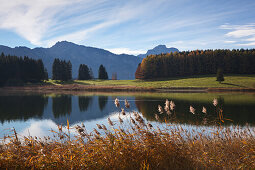 View over Forggensee lake to the Allgaeu Alps, Tegelberg and Saeuling, Allgaeu, Bavaria, Germany