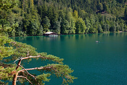 Alpsee near Hohenschwangau, Fuessen, Allgaeu, Bavaria, Germany