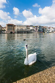 View over river Rhine to a hotel, Basel, canton of Basel-Stadt, Switzerland