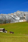 Farmhouses with Dienten church beneath Hochkoenig range, Dienten, Berchtesgaden range, Salzburg, Austria