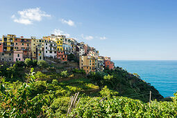 Blick auf Corniglia, Cinque Terre, La Spezia, Ligurien, Italien