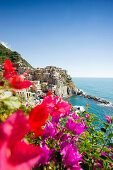 Blick auf Manarola, Riomaggiore, Cinque Terre, La Spezia, Ligurien, Italien