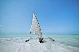 Dhow, traditional sailing boat, Zanzibar, Tanzania, Africa